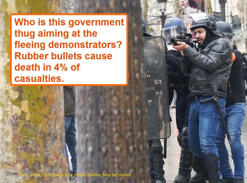 P1120612_This_government_agent_is-lining_up_fleeing_demonstrators.jpg